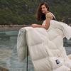AB Catherine 95% White Goose Down Comforter