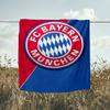 1PC FC Bayern München Printed Soft Flannel Blanket Throw for Adult Bedroom Living Room Sofa Camping Travel Fan Gifts Christmas Gifts