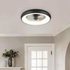 19.6 Inchs Household LED Lighting Electric Fan Electric Ceiling Fan Light Bedroom Strong Wind DC Ceiling Fan Lamp