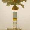 عطور – عطور