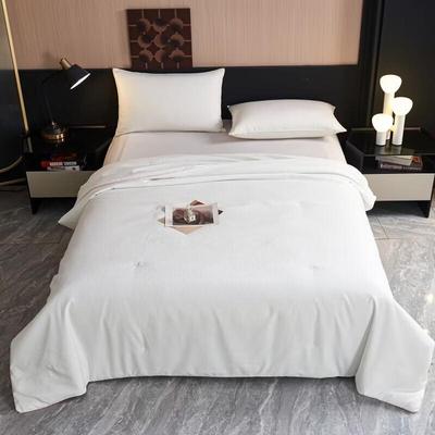 Hongdou Berlin Series Soft Summer Quilt