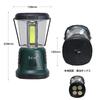 ELPA LED Powerful Lantern DOP-L805 Asahi Denki Green