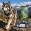 Real Time Positioning Direct Supply Geo Fence Gps Mascotas Seguimiento En Tiempo Real Collar Con Gps Para Mascotas