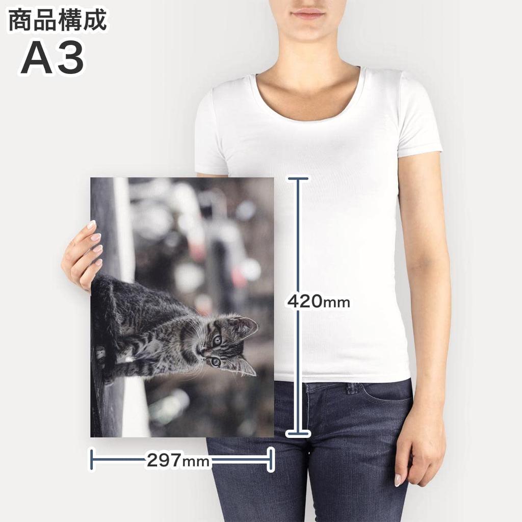 Art 420mm x Wall Wooden Stylish Interior Animal Photo Panel, Picture, Painting, Decoration, igsticker, 297mm, A3, Photo, Hanging, Frame, Decor,