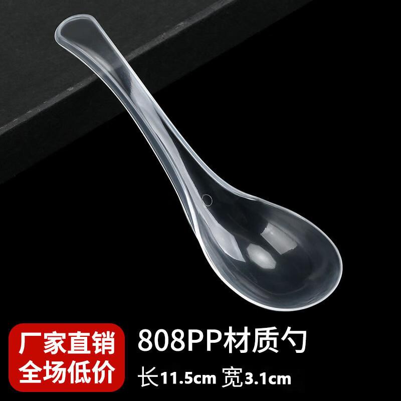 ZhiShi Clear Disposable Plastic Spoons
