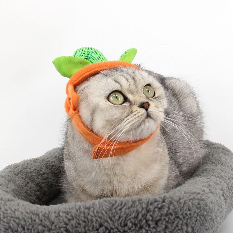 Versatile Halloween Xmas Pet Cat Dog Teddy Plush Hat Wizard Pumpkin Headgear Caps
