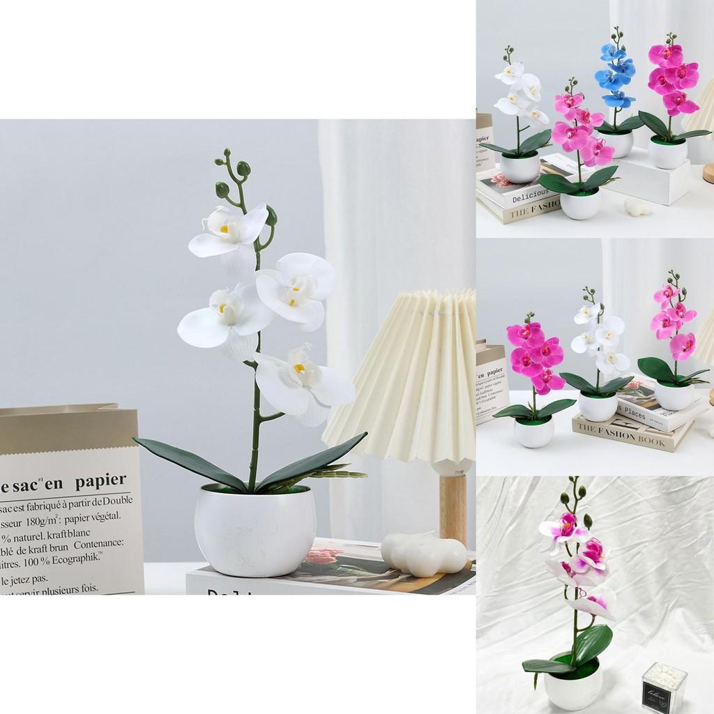 Durable Plastic Butterfly Orchid Fake Plant With Textured Finish For Celebrations And Photo Shoots