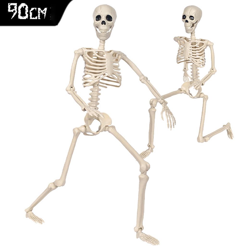 Szkielet w naturalnej wielkości, ruchomy, pełen ciała, dekoracja na Halloween z ruchomymi stawami, na imprezę, przerażające rekwizyty do nawiedzonego domu