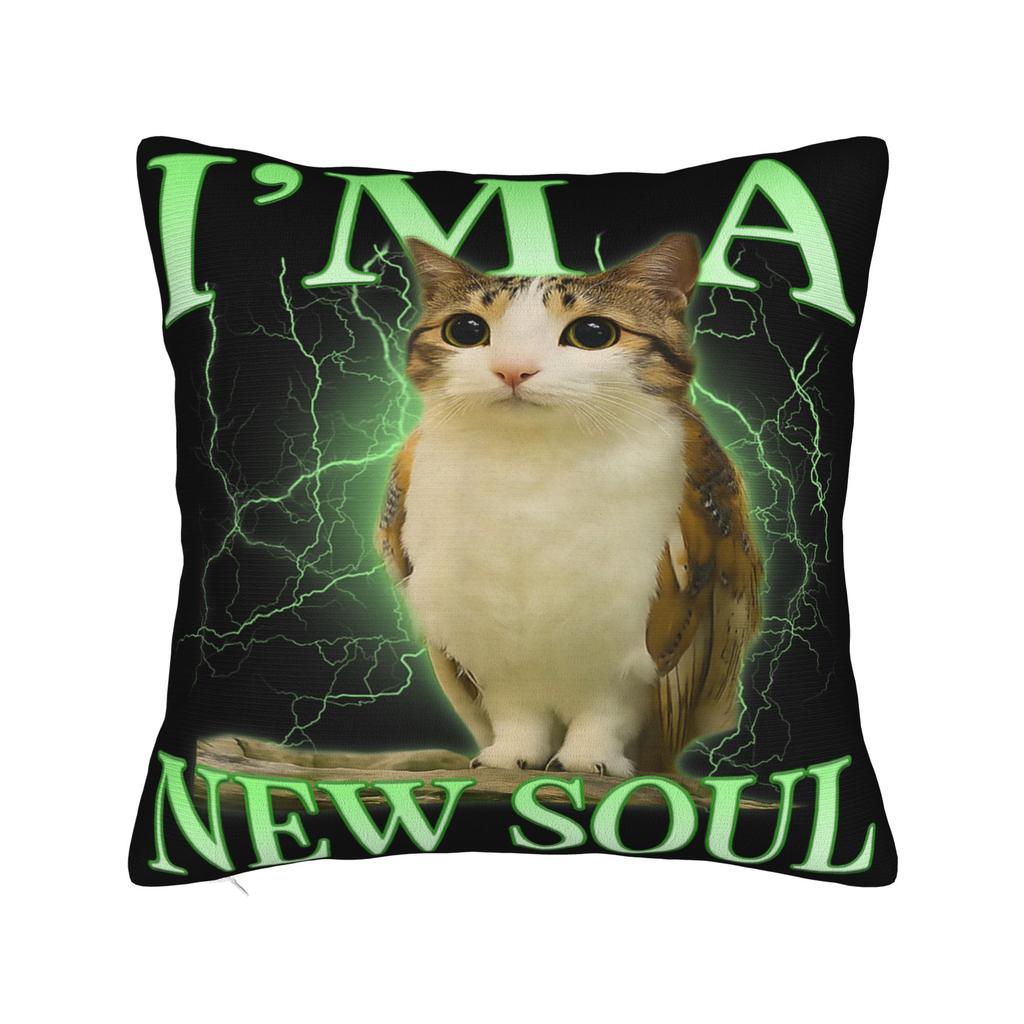 Gatto Gufo Divertente Maledetto Cervello Marcio da Internet Bootleg Meowl Federe Federa Divertente Per Divano Letto Salotto Copricuscino
