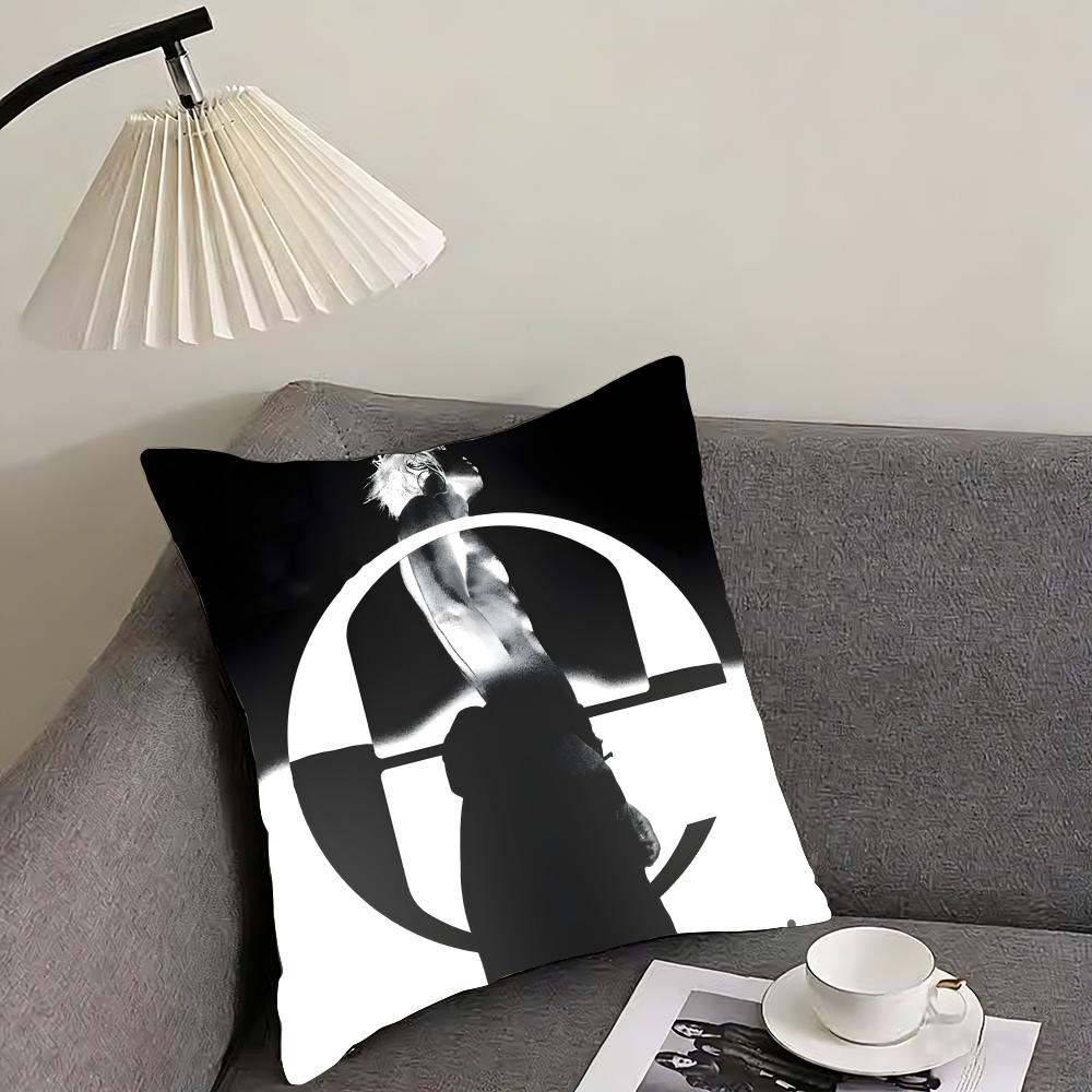 E-Ecco2K Logo Cushion Cover Pillowcase Ultra Soft Skin Friendly Fabric Cloud Like Comfort & Concealed Zipper