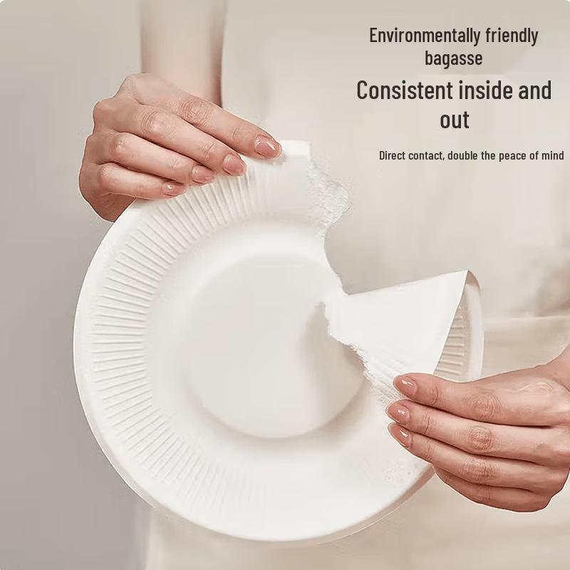 Temajia Sugarcane Pulp Round Disposable Plates