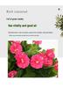 High-Quality Morning Glory Wall Hanging Vine - Artificial Green Plant Decoration for Living Room
