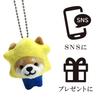 Traveling Mameshiba Keychain Mascot Ball Chain Bag Charm Cute Fluffy Shiba Inu Mameshiba Soothing [LamPlanning] [Series-1] (Star)