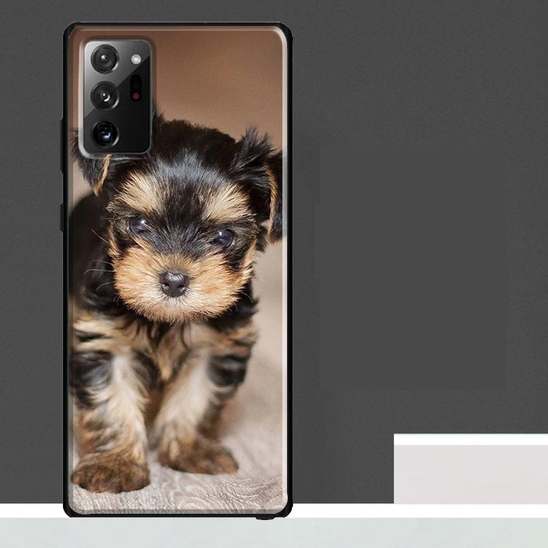 

Yorkshire Terrier Dog Case For Samsung Galaxy S25 Ultra S21 S22 S23 S24 Ultra S9 S10 S20 Plus S25 FE Phone Cover Galaxy S24 Plus
