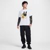 Nike M Acg Df Tee Toucan Hj0793 121