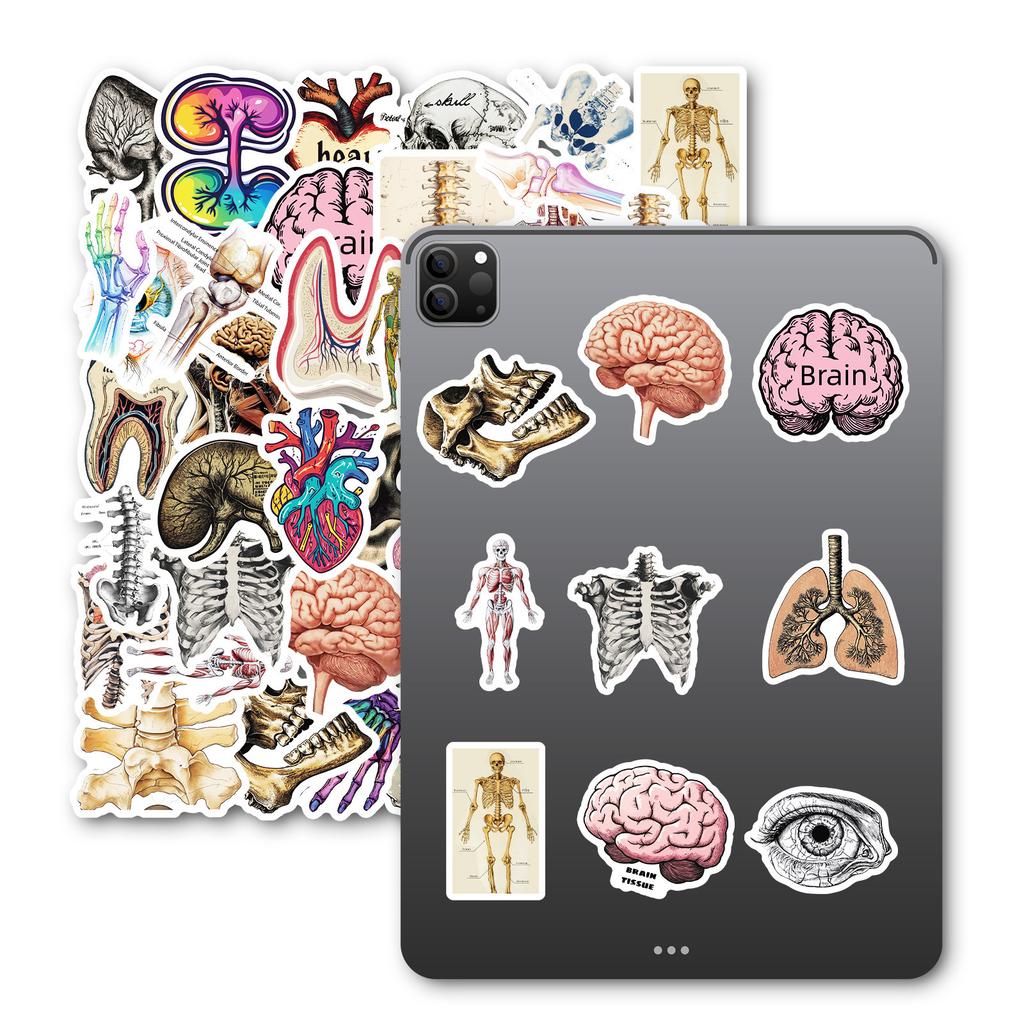 - Stickers, Suitcase Stickers, Skateboard Stickers