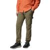 Columbia Skien Valley Cargo Pant, Mens green Trousers