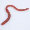 10Pcs Stretchy Earthworm Prank Toy Realistic Long TPR Earthworm Simulated Wiggly Worm Tricky Props Kids Adults Halloween Party April