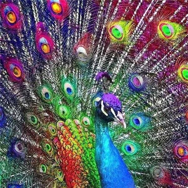 50X50CM 5D Diy Diamond Embroidery Sale Rose Pictures Of Rhinestones Diamond Art Painting Kits Flower Mosaic Handmade Gift