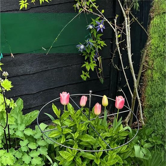 Peony Cage, Plant Support Cage with Four Legs, Heavy-Duty Metal Plant Support Ring for Roses Tomatoes Cucumbers Hydrangeas