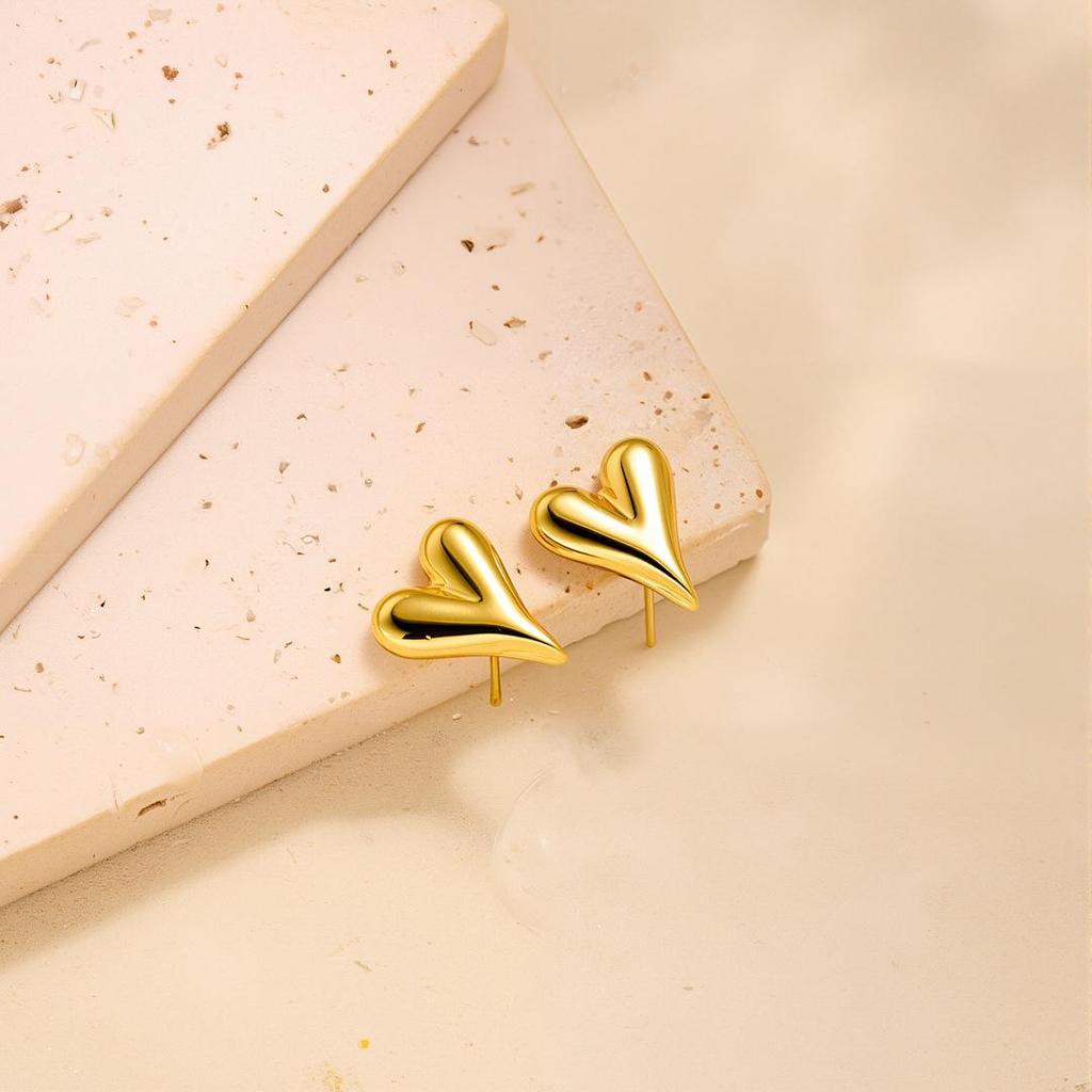 Geometric Irregular 18k Gold Titanium Steel Earrings for Women