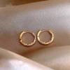 New Style, Niche and Unique Earrings. Women's High-end Earrings with Elegant Loops and Simple Rings.