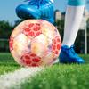 1PC Abstract Watercolor Flow Floral Soccer Ball Size 5 Football Machine Sewn Indoor/Outdoor Universal Football A65