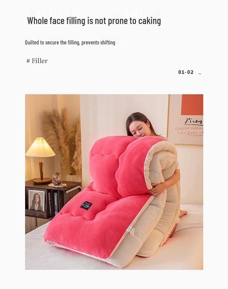 Thickened Lambswool Milk Velvet Bedding Set - Autumn/Winter Collection