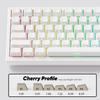 Akko TAC75 HE Gaming English Rapid AstroAim Magnetic Hot Side 8000Hz Polling 16000Hz Scan SnapKey White Keyboard, 75% Layout, 0.005mm Trigger,