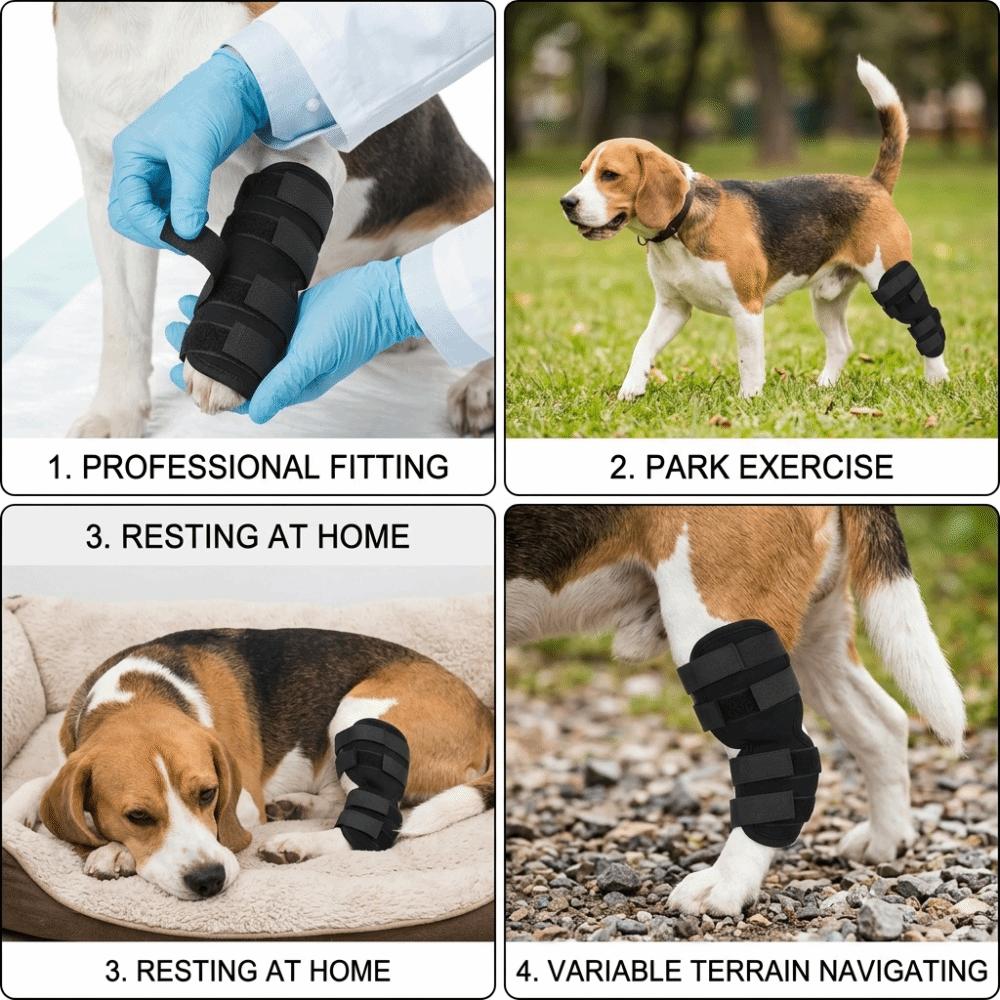 Breathable Texture Dog Leg Recovery Sleeve Dog Front Leg Support Brace  Injury Support