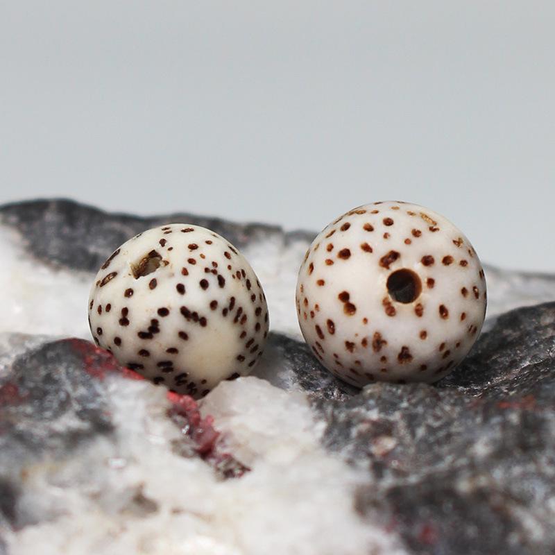 Bodhi Seed Beads: Star Moon Barrel Beads for DIY Buddhist Hand Strings and Accessories, Hainan Original Undegreased.