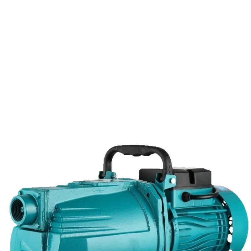 Pompa Jet Automatica ad Alta Prevalenza 220V Autoadescante Booster Acqua