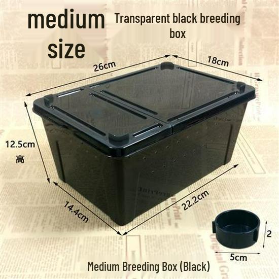 Reptile Habitat Tank for Silkworms, Spiders, Frogs, Snakes, Lizards, Snails, Insects, and Turtles