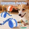 Smart Dog Rolling Ball Interactive Dog Toys With Rope Motion Activated Automatic Moving Squeaky Dog Training Puppy Chew Toy Ball