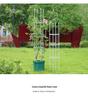 Free Shipping Clematis & Rose Climbing Frame Plant Support