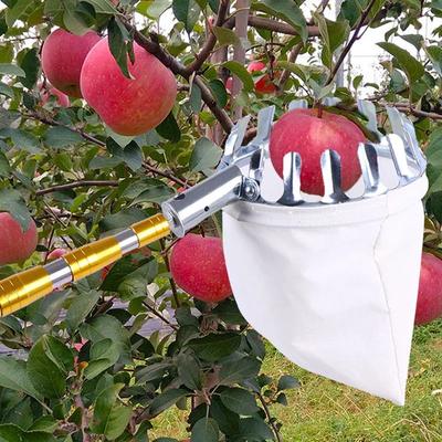 Metall-Fruchtpflücker für hohe Bäume Obstgarten Apfel Pfirsich Hoher Baum Einfaches Fruchtpflückwerkzeug Tragbare Fruchtsammeltasche