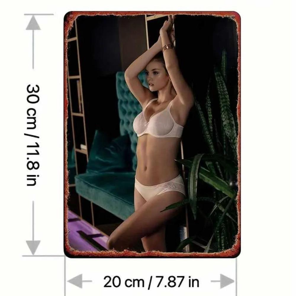 Retro Metallgemälde, Möbel, Wohnzimmerdekoration 20x30cm