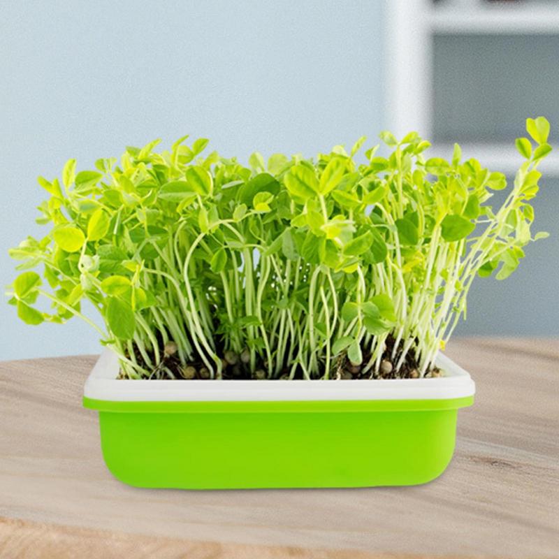 Plant Germination Trays Windowsill Planter Box Greenhouse Germination Kit Hydroponics Growing System Kit with Drainage Saucer