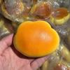 Relaxing Cloud Bread Squishy Caramel Color Sensory Toys Creative Slow Rising Bread  Adult Kids