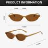 Sexy Small Oval Women's Sunglasses 2025 New Fashion Leopard Brown Hot Sun Glasses Female Retro Colorful Shade Eyeglass