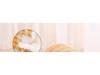 Four Seasons Removable & Washable Cat/Dog Bed - Enclosed, Warm, All-Season Pet Nest