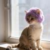 Polyester Pet Cat Wigs Cartoon Dog Hairpiece Party Dress-Up Dog Cosplay Hat  Photo Props