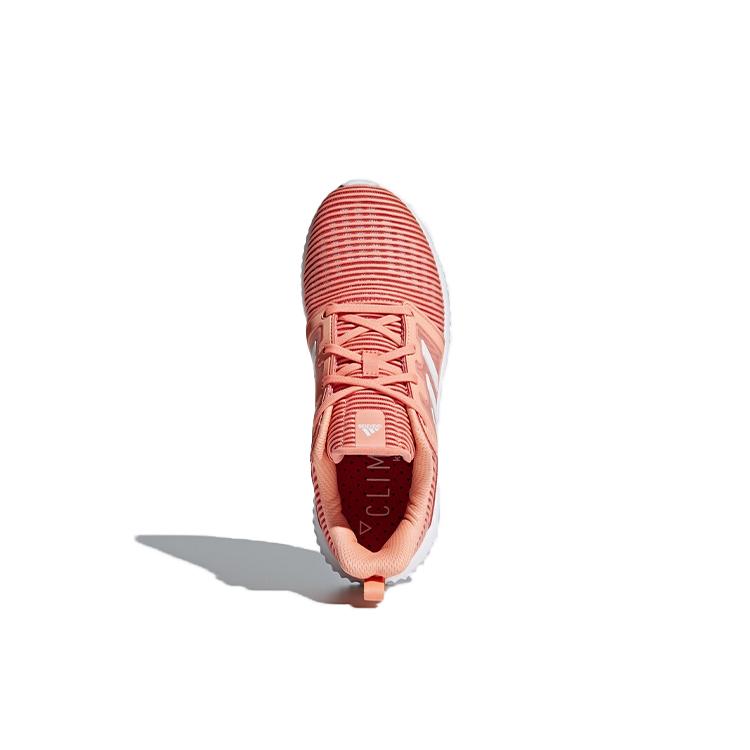 New Adidas Climacool Vent 'Pink' Women's CG3922