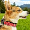 Dog Collar Reflective Adjustable Senior Pet Magnet Neck Collar For Travel Holiday Training Living Room Night Walking Camping