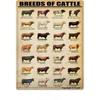20x30cm Metal Tin Sign Retro Wall Art Home Decor