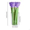 Clips for Food Storage - Set of 5