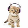 Adjustable Doll Headphones Foldable Doll Headset Props Doll Earphone Model  Anime Cosplay