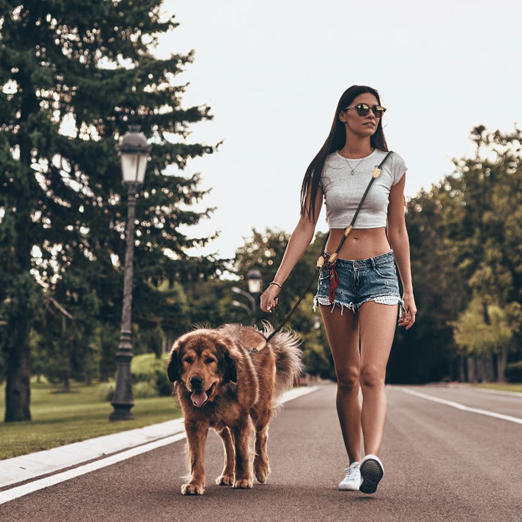 Multifunktionellt Dubbelkoppel för Hund Medium Justerbart och Nylon Lyx Hands Free Småhundskoppel koppel För 2 Hundar