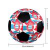 FC Bayern Munich Indoor Soccer Ball Colorful Machine Stitched PVC Size 5 Team Training Competition Ready Durable High-Bounce Cool Sports Gift