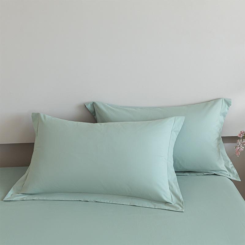 Autumn and Winter Class A Cotton Abraded Pillowcase Pair of Pure Cotton Thickened Pillowcase Pillow Core Liner Cover Household 48X74cm